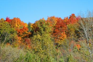 hill colors
