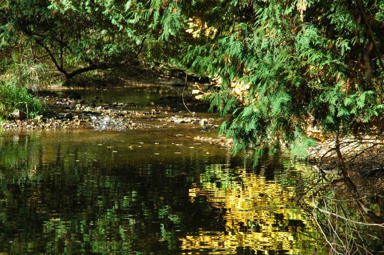 river bend, old swimming hole