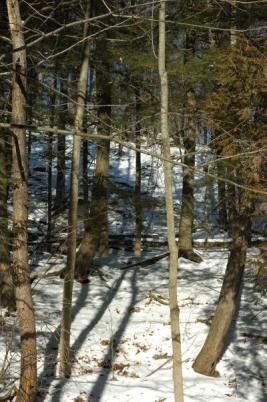 trail