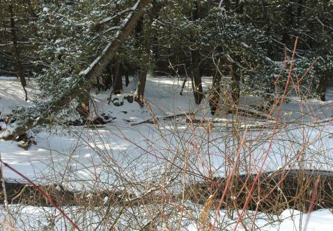 winter shelter