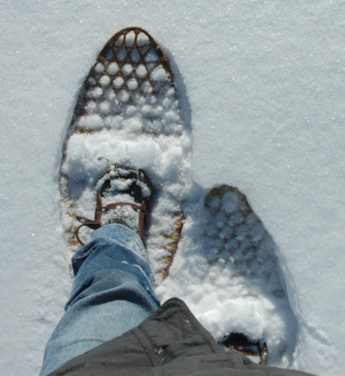 snowshoes