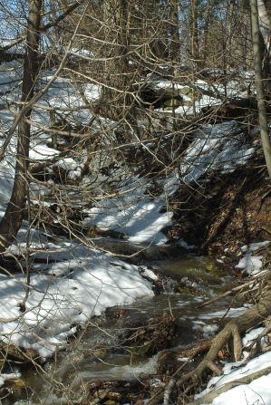 culvert outflow`