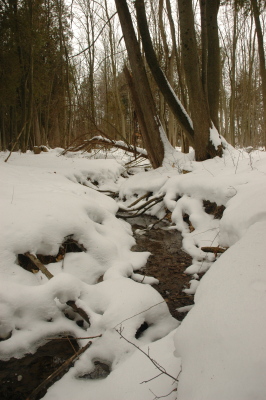 stream