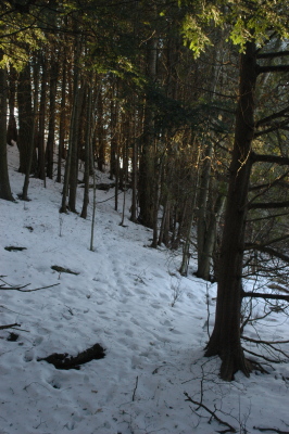 snowy hillside