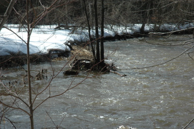 river in flood