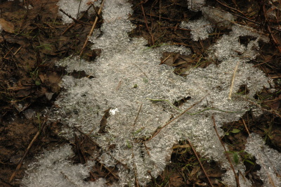 ice lacework