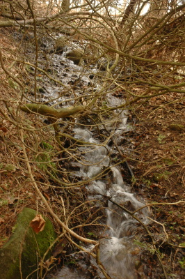 south spring