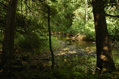 river